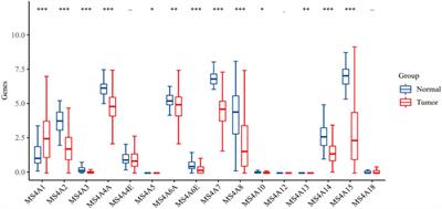 Role of the membrane-spanning 4A gene family in lung adenocarcinoma